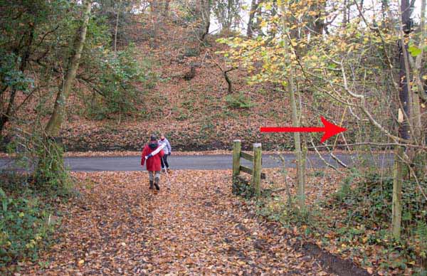 Photograph of Walking Route - Image 8