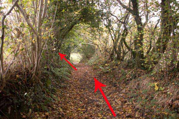 Photograph of Walking Route - Image 12