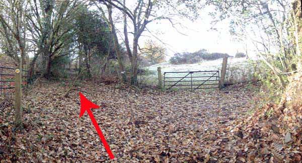 Photograph of Walking Route - Image 13