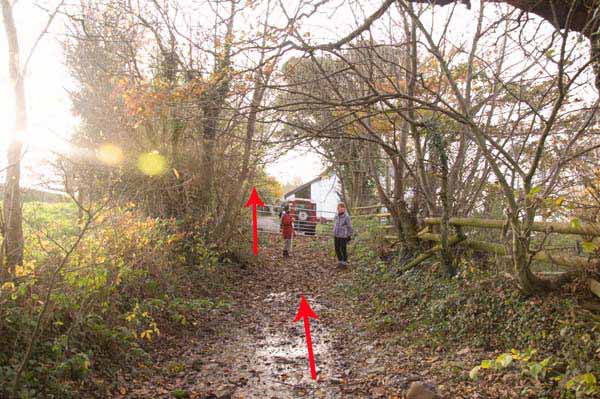 Photograph of Walking Route - Image 14