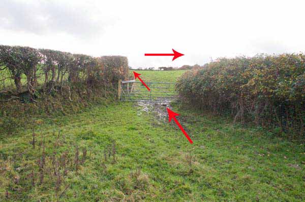 Photograph of Walking Route - Image 18