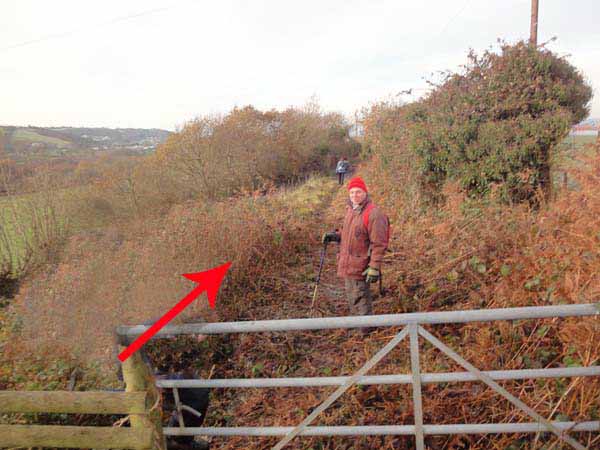 Photograph of Walking Route - Image 21