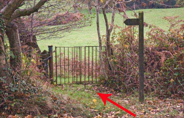 Photograph of Walking Route - Image 25