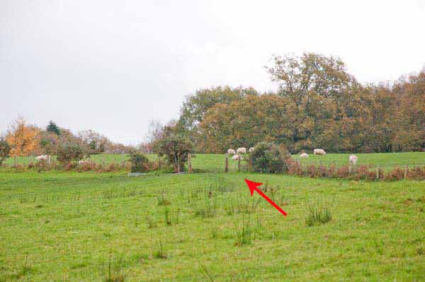 Photograph of Walking Route - Image 33