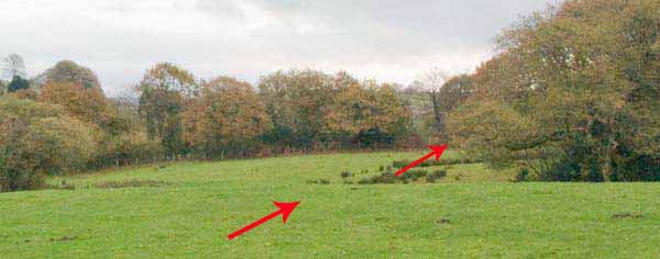 Photograph of Walking Route - Image 35