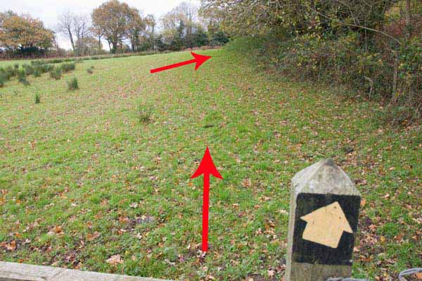 Photograph of Walking Route - Image 36