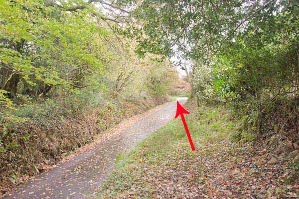 Photograph of Walking Route - Image 38