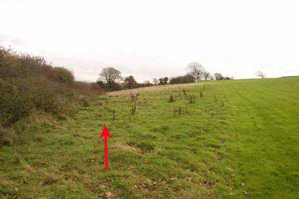 Photograph of Walking Route - Image 46