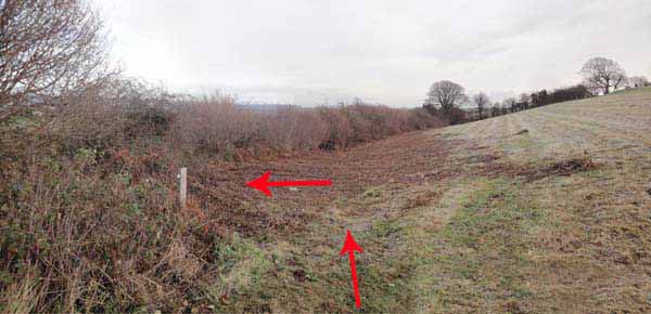 Photograph of Walking Route - Image 47