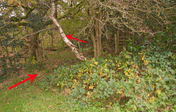 Photograph of Walking Route - Image 49