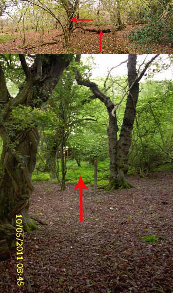 Photograph of Walking Route - Image 50