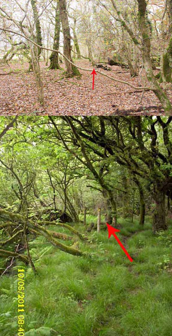 Photograph of Walking Route - Image 51