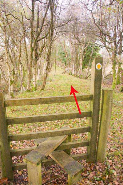 Photograph of Walking Route - Image 52