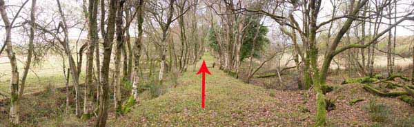 Photograph of Walking Route - Image 53