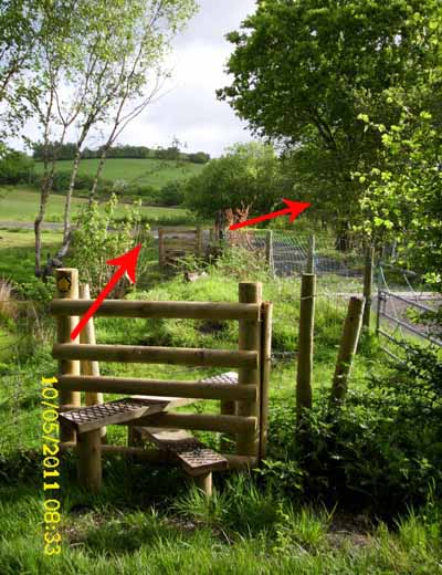 Photograph of Walking Route - Image 54