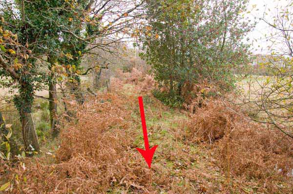 Photograph of Walking Route - Image 55