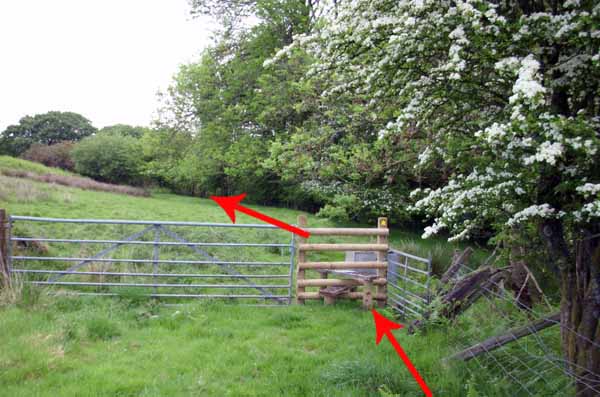 Photograph of Walking Route - Image 58