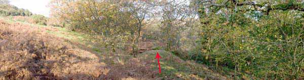 Photograph of Walking Route - Image 59