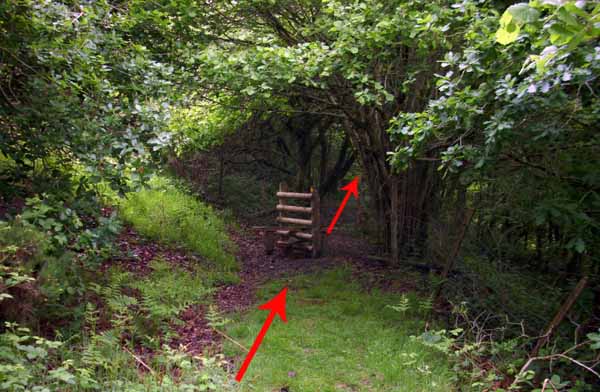 Photograph of Walking Route - Image 60