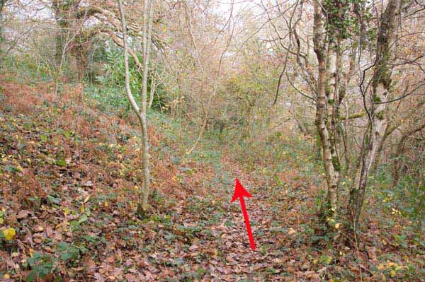 Photograph of Walking Route - Image 61