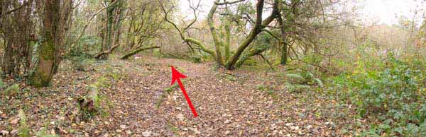 Photograph of Walking Route - Image 62