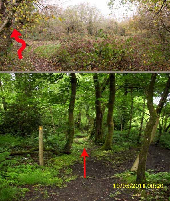 Photograph of Walking Route - Image 63