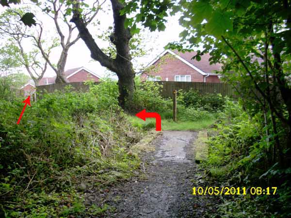 Photograph of Walking Route - Image 64