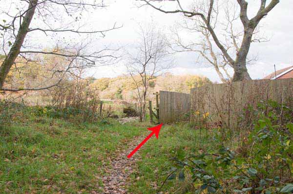 Photograph of Walking Route - Image 65