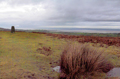 Cefn Bryn Walk