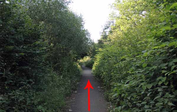 Photograph of Walking Route - Image 33