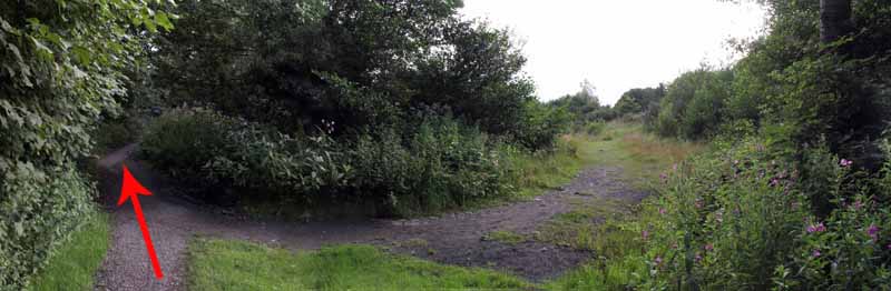 Photograph of Walking Route - Image 50