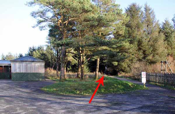 Photograph of Walking Route - Image 2