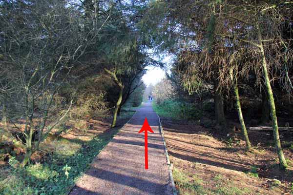 Photograph of Walking Route - Image 3