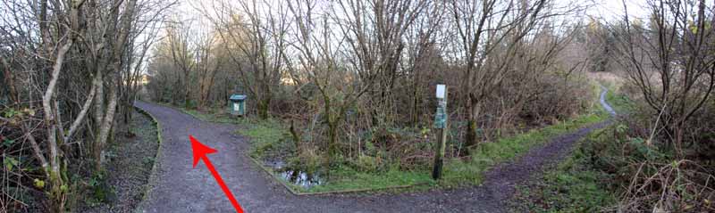 Photograph of Walking Route - Image 4