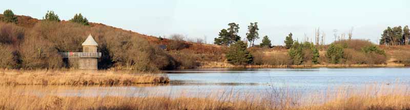 Photograph of Walking Route - Image 6