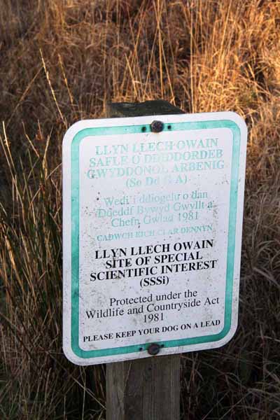 Photograph of Walking Route - Image 7