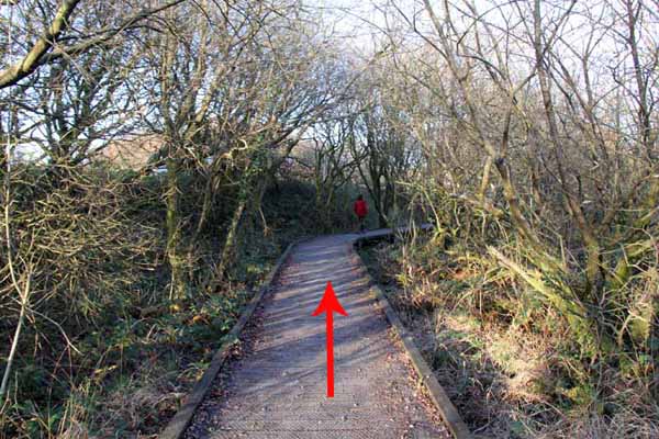 Photograph of Walking Route - Image 10