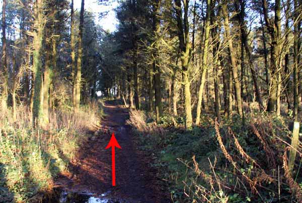 Photograph of Walking Route - Image 16