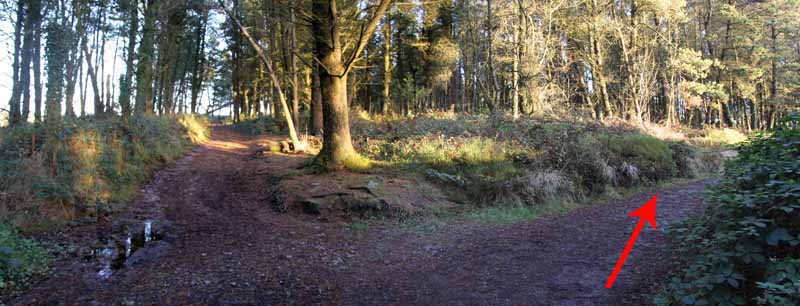 Photograph of Walking Route - Image 17