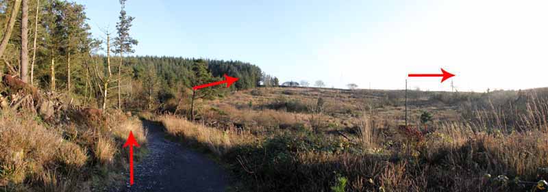 Photograph of Walking Route - Image 18