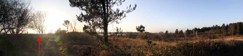 Photograph of Walking Route - Image 20