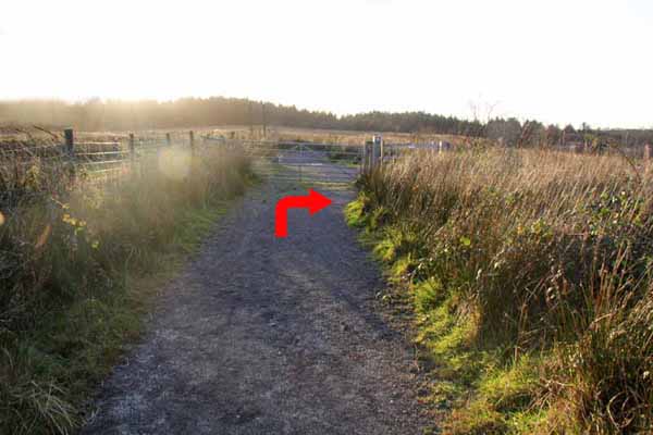 Photograph of Walking Route - Image 22