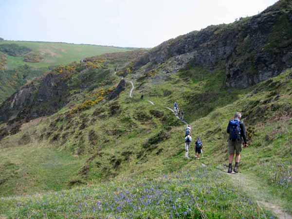 Photograph of Walking Route - Image 4