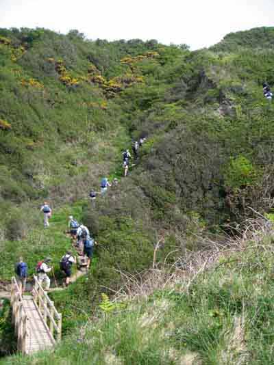 Photograph of Walking Route - Image 5