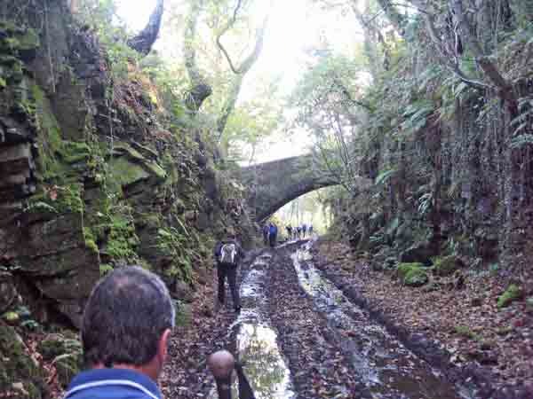 Photograph of Walking Route - Image 4