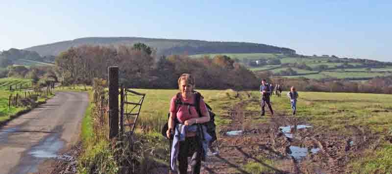 Photograph of Walking Route - Image 5