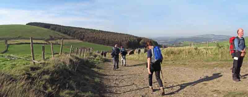 Photograph of Walking Route - Image 15