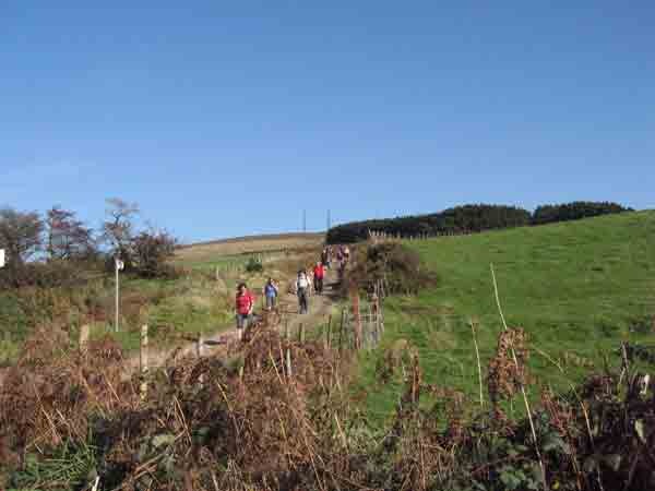 Photograph of Walking Route - Image 16