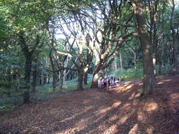 Photograph of Walking Route - Image 17