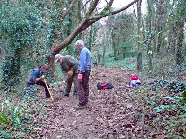 Photograph of Walking Route - Image 8